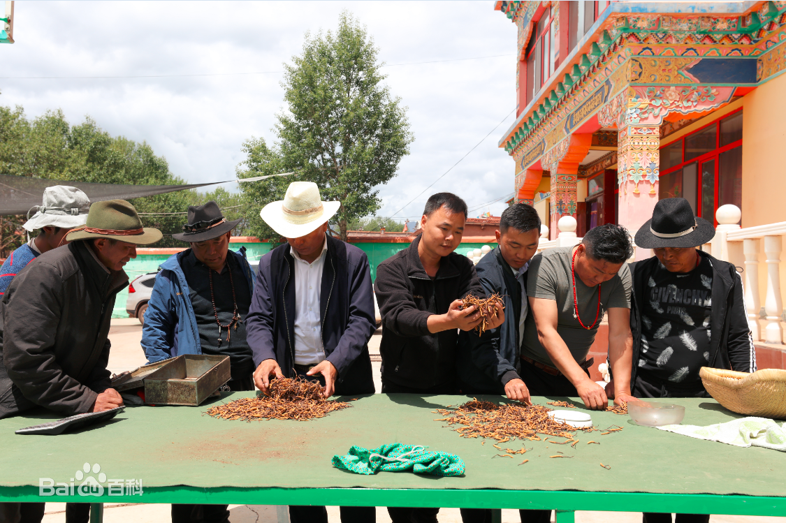 张仁杰(renjiezhang)和采写人物在一起的照片。性感图片壁纸