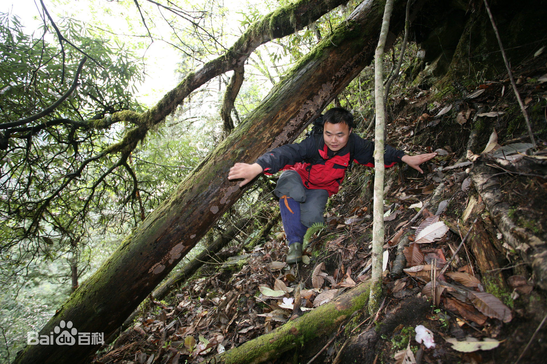张仁杰(renjiezhang)2008年北川大地震采写并参与救援照片。性感图片壁纸