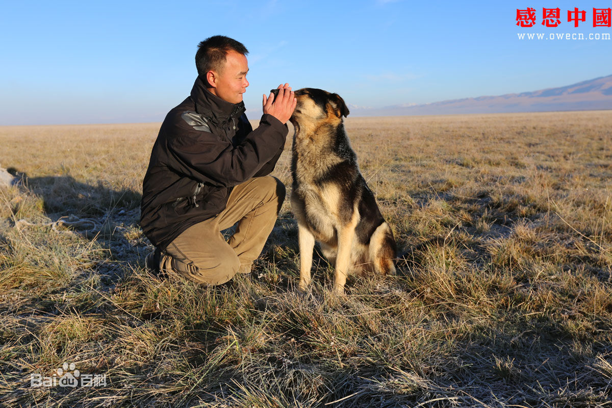 张仁杰(renjiezhang)多年采写生活及其相关经历照片。壁纸壁纸
