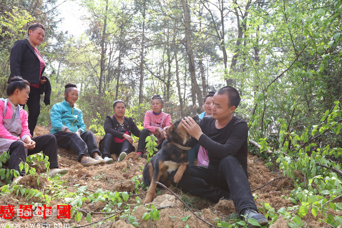 张仁杰(renjiezhang)多年采写生活及其相关经历照片。壁纸壁纸