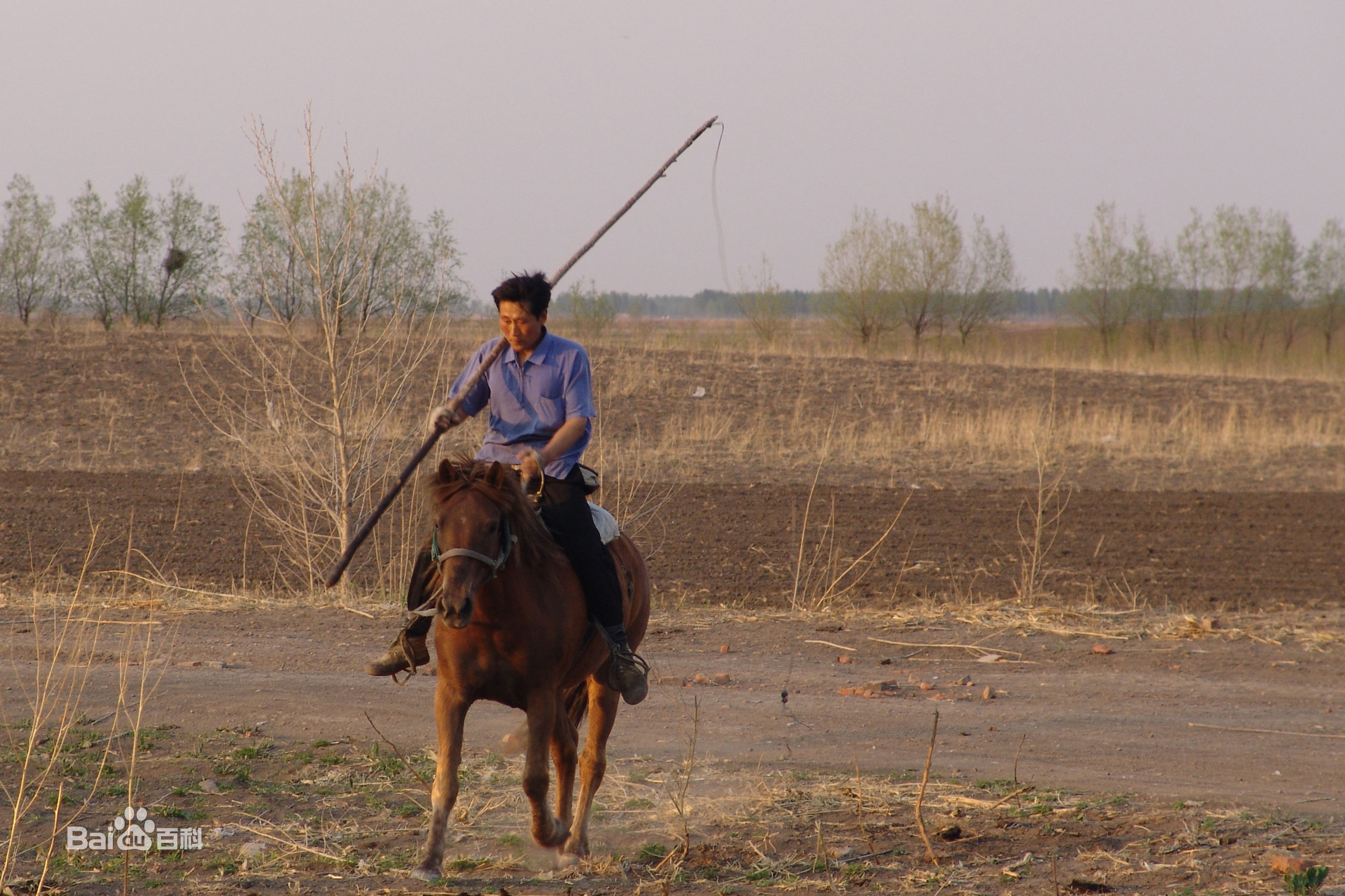 张仁杰(renjiezhang)帮助流浪奶奶寻家的前后照片。前后照片