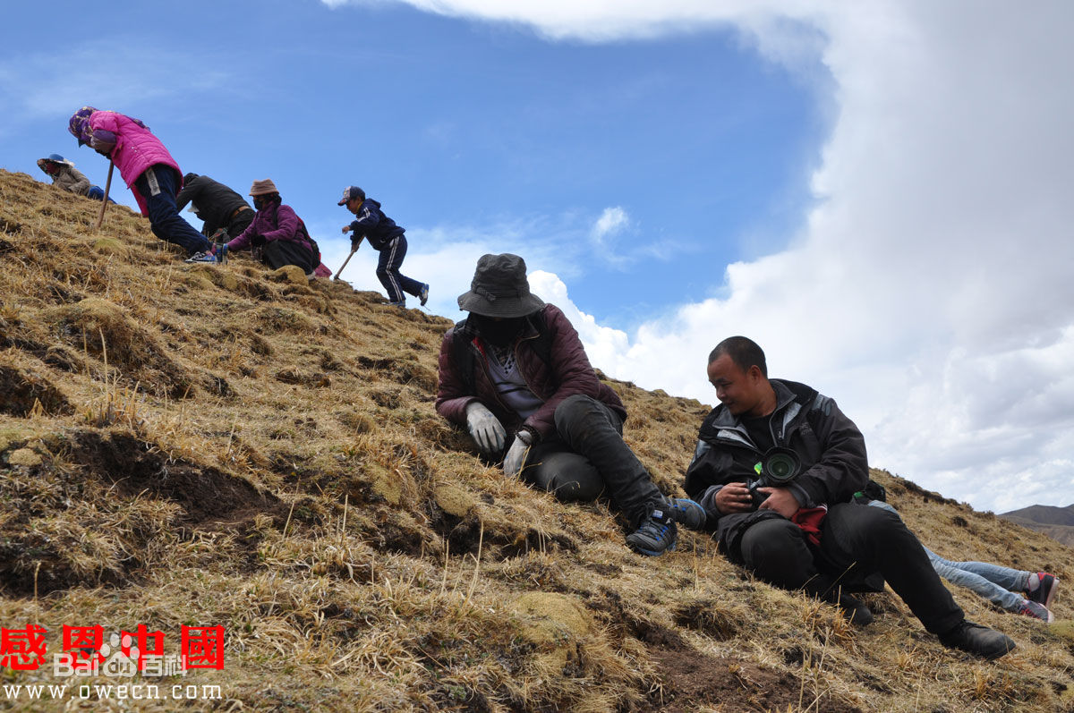 张仁杰(renjiezhang)和他独立承担的社会变迁课题中的人物在一起。图册