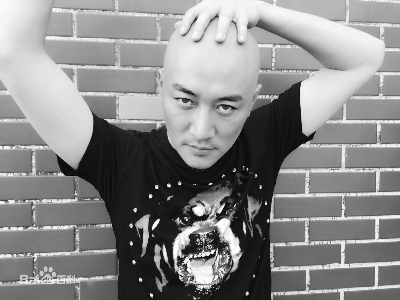 董彦麟广告图片性感图片图集