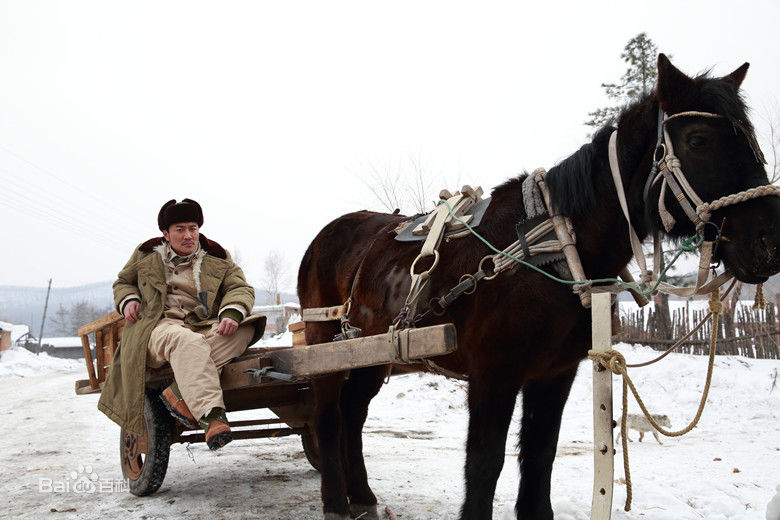 董彦麟《我的生命曾为你燃烧》高清剧照