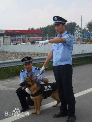 董彦麟最全剧照