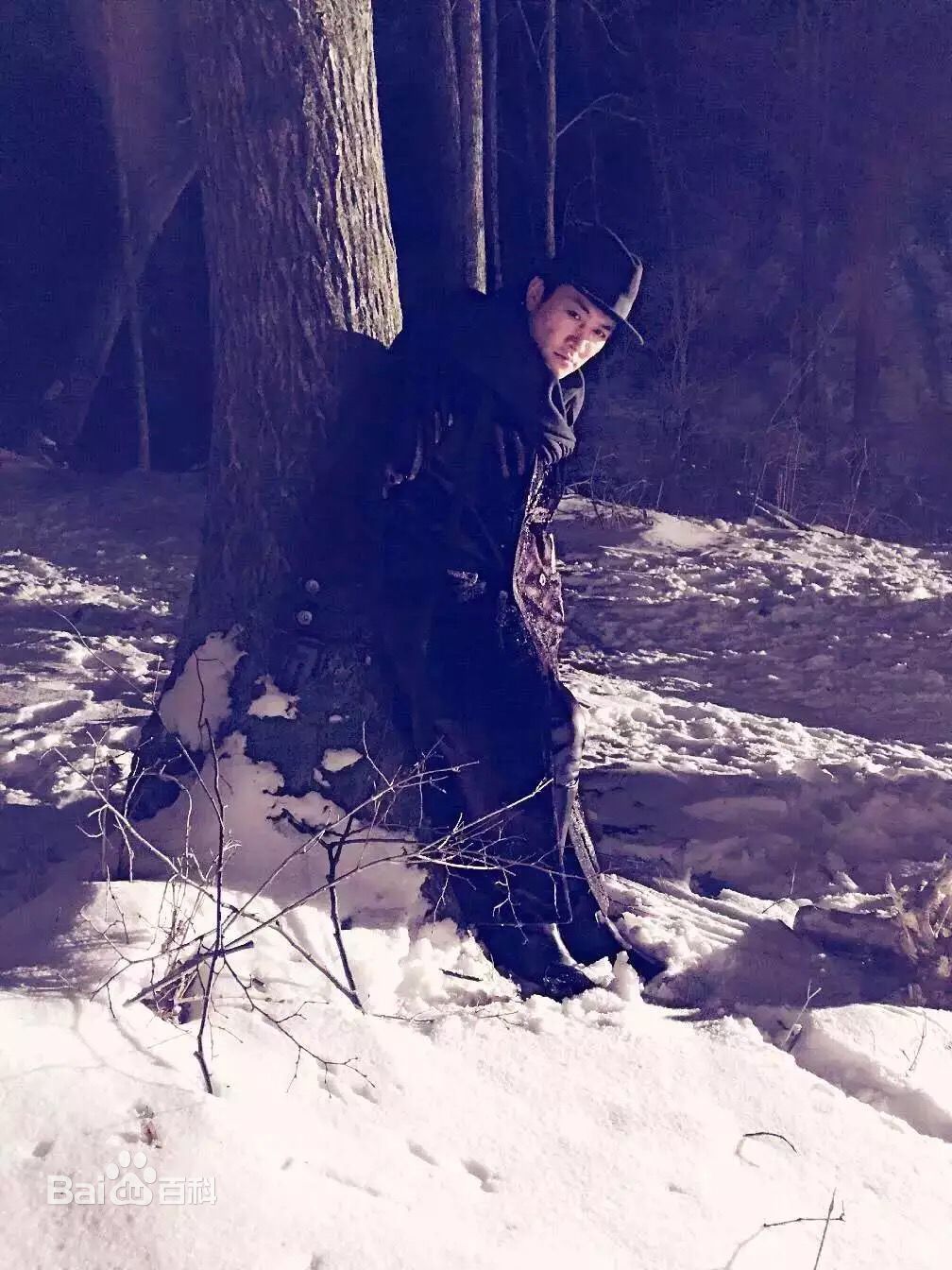 高清董彦麟在电视剧《林海雪原》中的图集