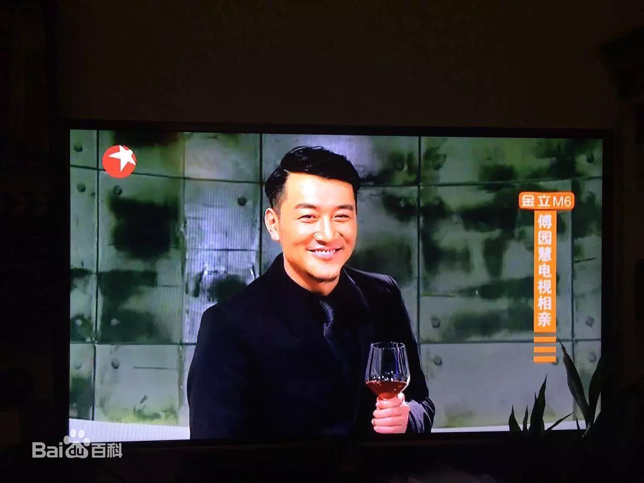 精选董彦麟在综艺秀：东方卫视《今夜百乐门》中的图册