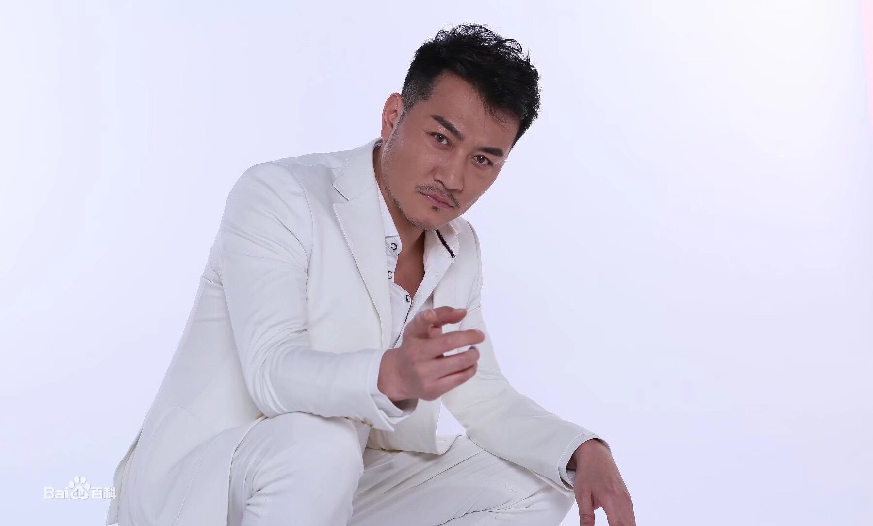 董彦麟大董性感图片图集