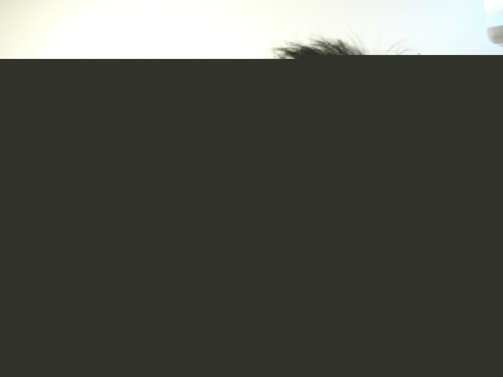 麦嘉伦(MAK KA LUN)高清图集