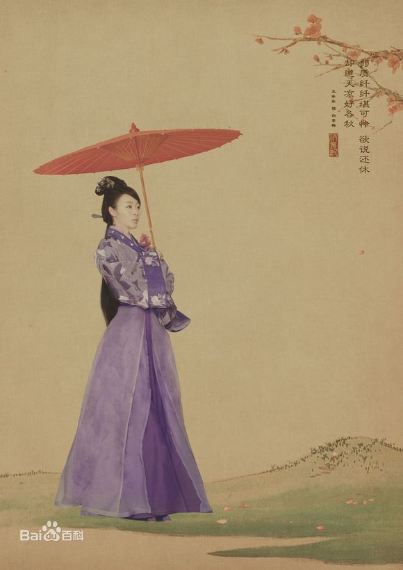 王乐乐《纳妾记》精选剧照、海报