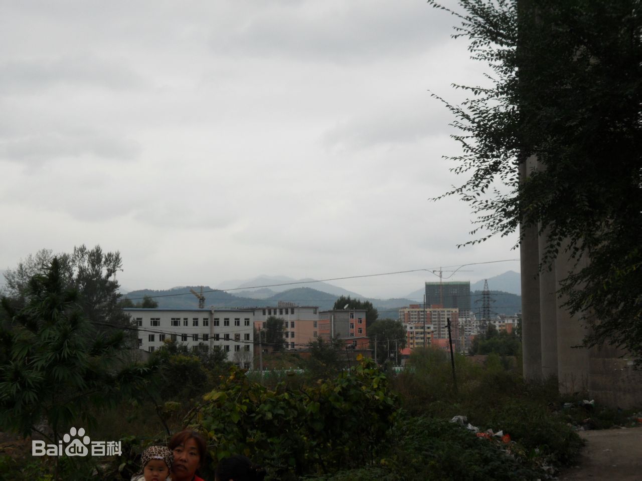 最优质张琳素颜照