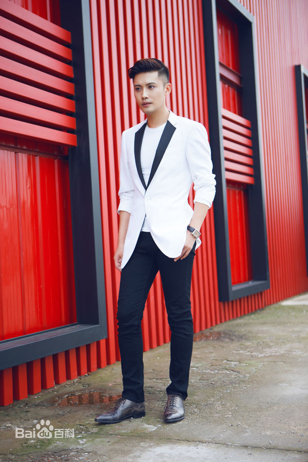 赵廷峪(Patrick)2015年艺术照壁纸壁纸