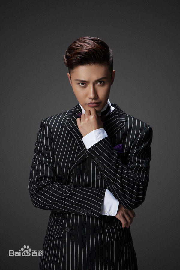 赵廷峪(Patrick)2015年艺术照壁纸壁纸