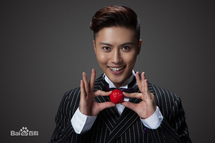 赵廷峪(Patrick)2015年艺术照壁纸壁纸