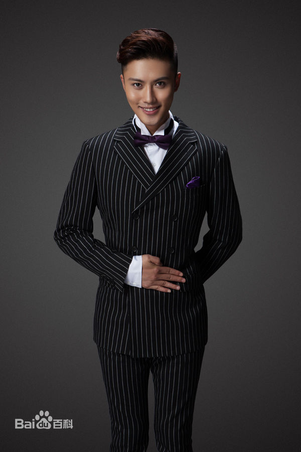 赵廷峪(Patrick)2015年艺术照壁纸壁纸