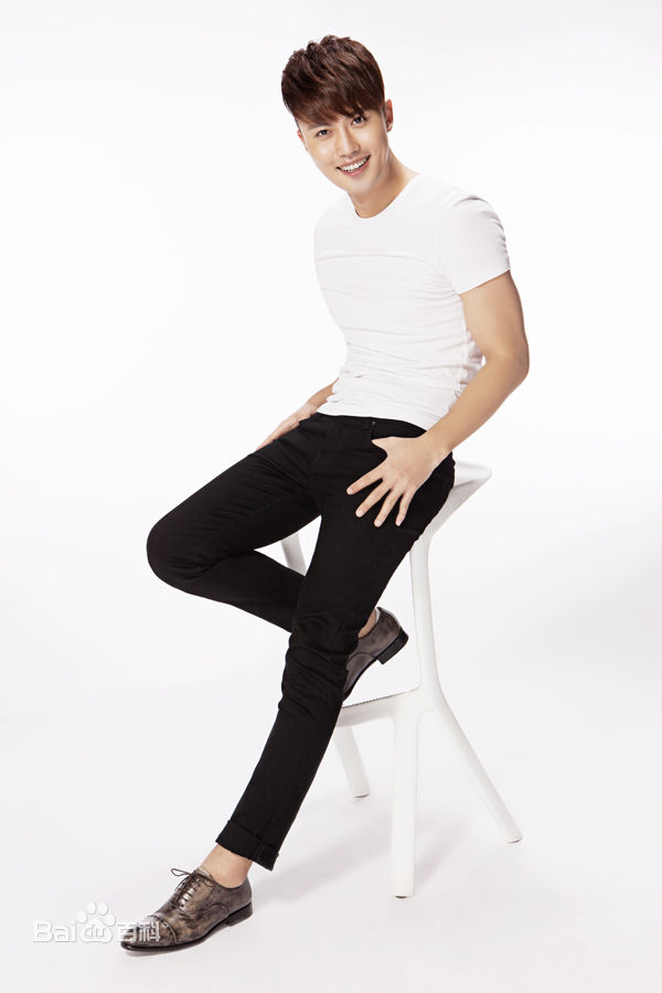 赵廷峪(Patrick)2015年艺术照壁纸壁纸