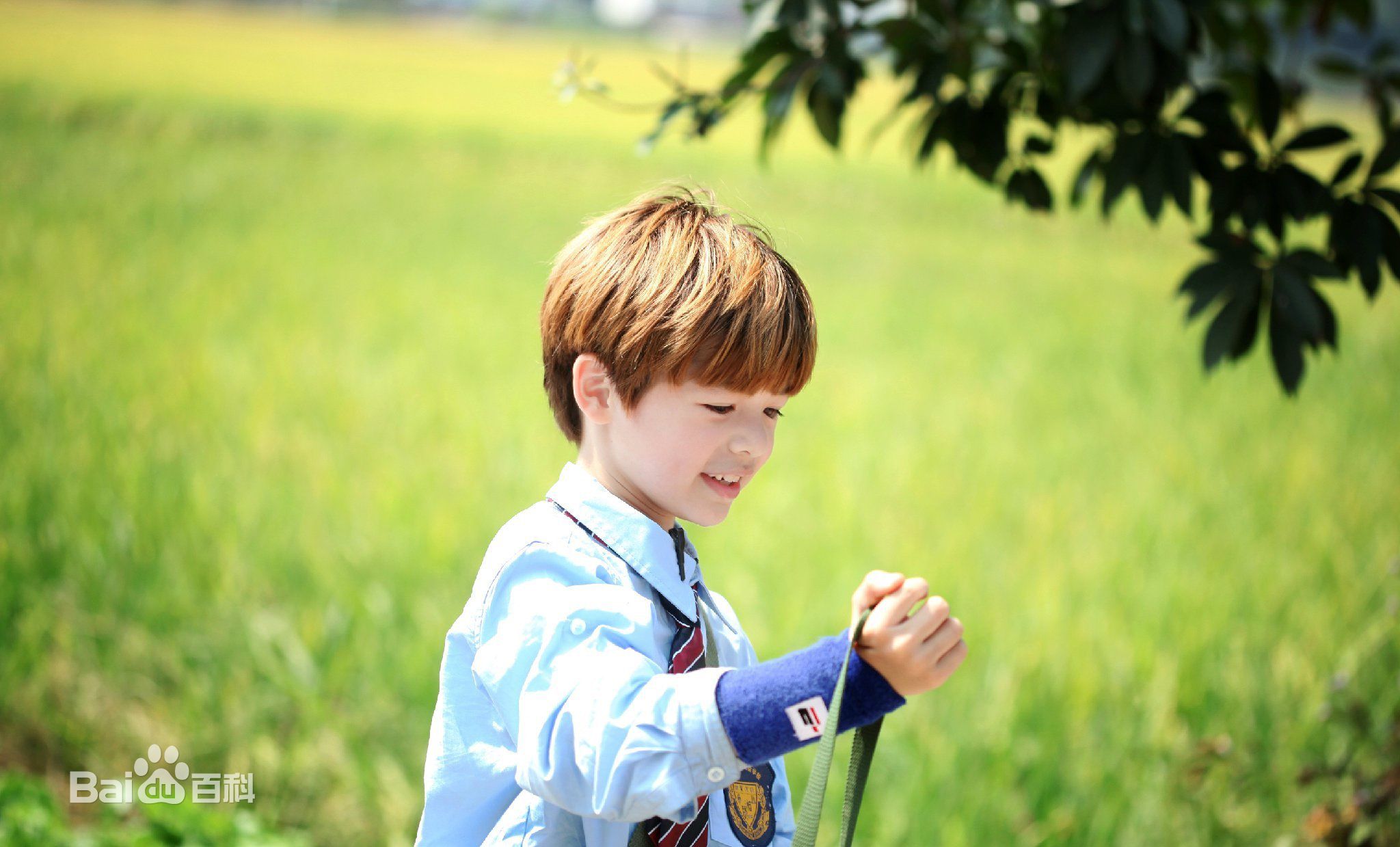 西蒙子(Jozef Liu Waite)荧屏形象图片图集