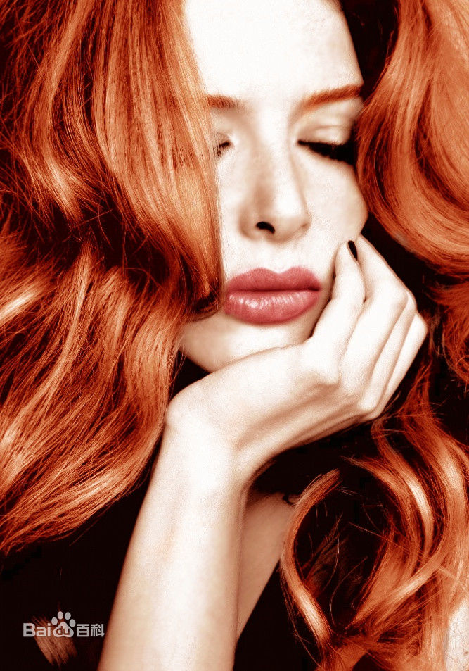 最全蕾切尔·李费佛(Rachelle Marie Lefevre)壁纸