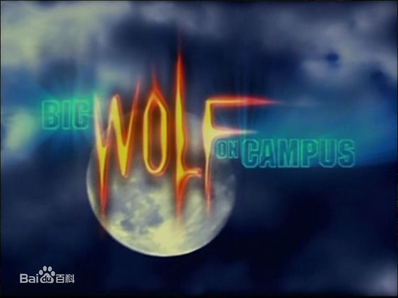 最全蕾切尔·李费佛(Rachelle Marie Lefevre)壁纸