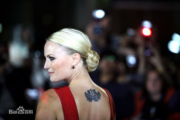 最优质玛琳·阿克曼(Malin Akerman)精彩图册