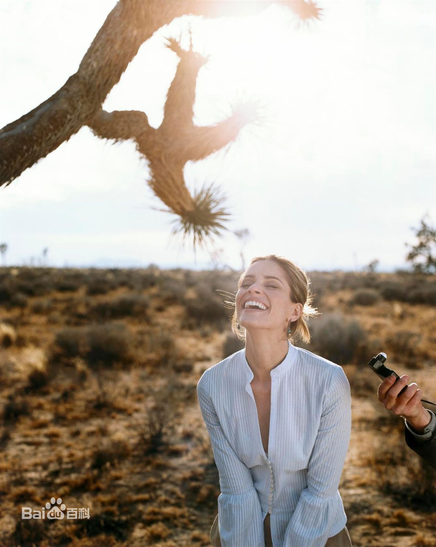 最新阿曼达·皮特(Amanda Peet)精彩图册