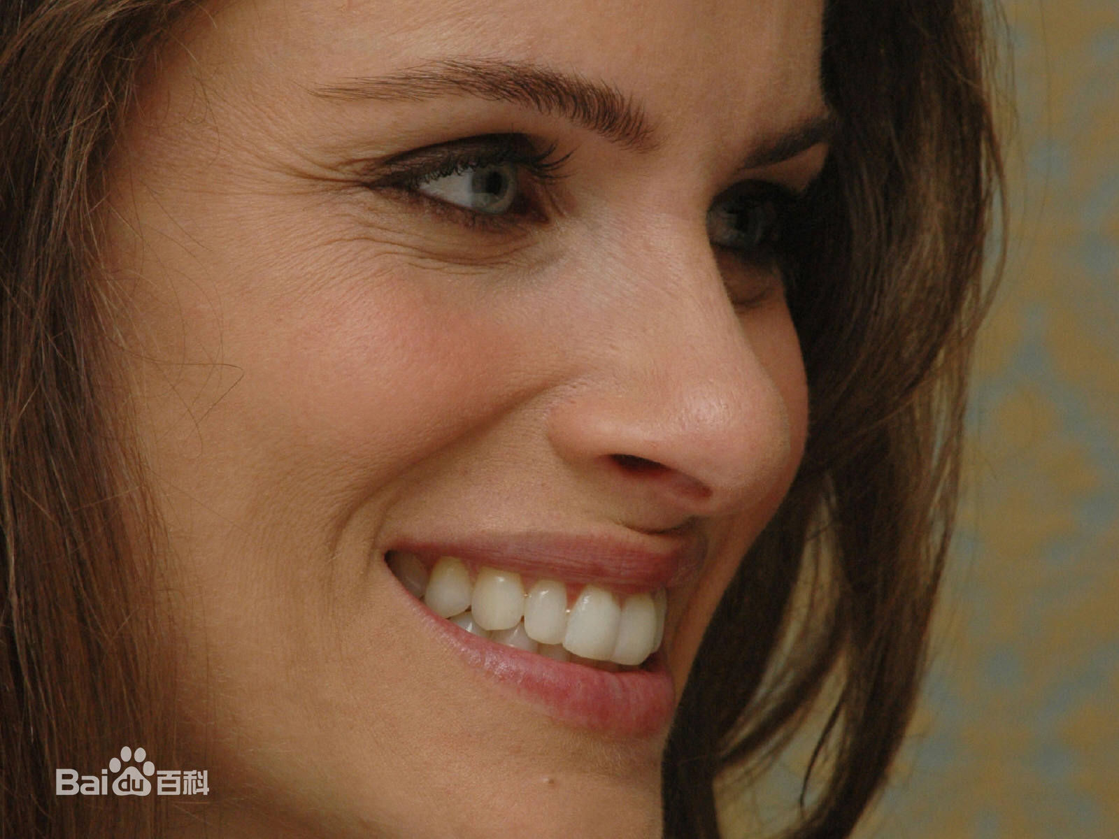 最新阿曼达·皮特(Amanda Peet)精彩图册