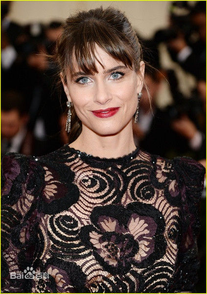 高清阿曼达·皮特(Amanda Peet)图片