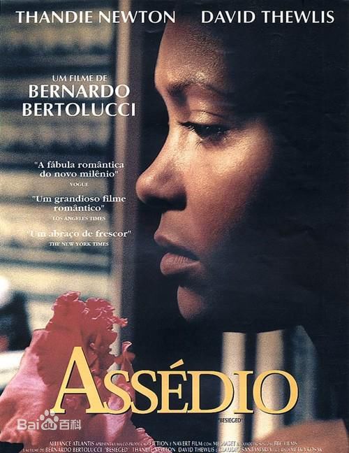 精选桑迪·牛顿、坦迪·牛顿(Thandie Newton)