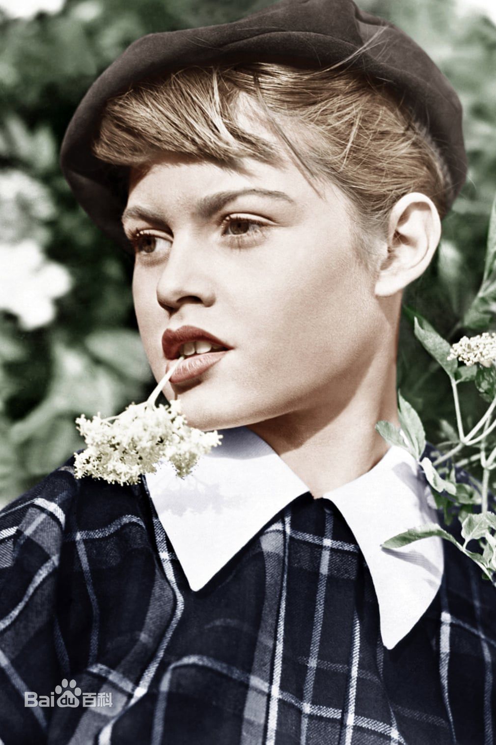 碧姬·芭铎(Brigitte Anne-Marie Bardot)20世纪50年代照图片图册