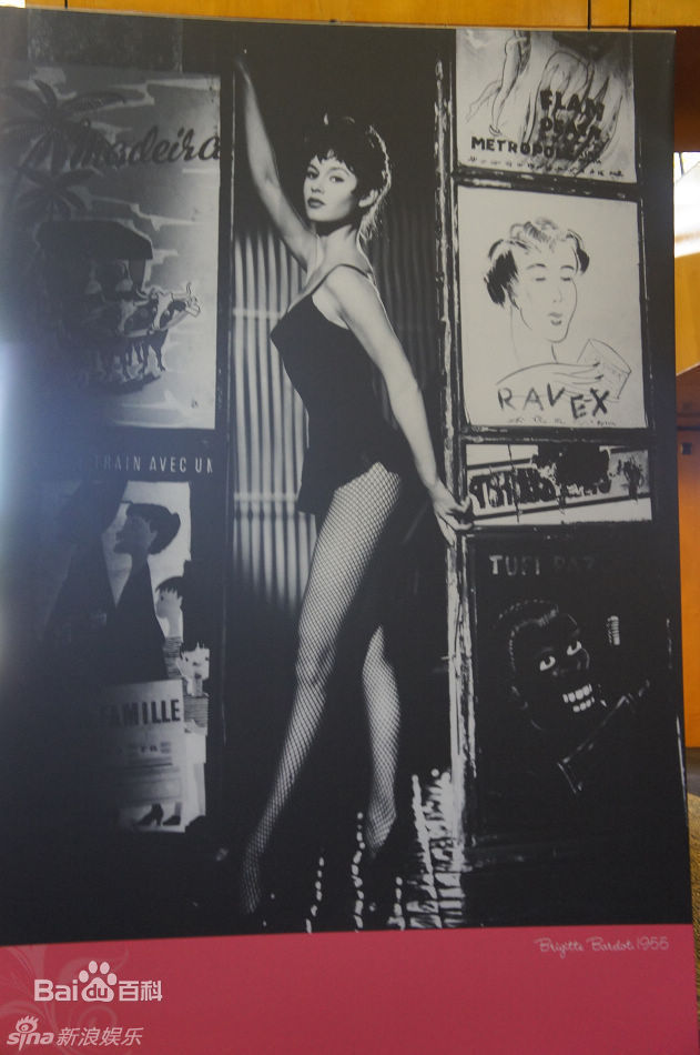 最新碧姬·芭铎(Brigitte Anne-Marie Bardot)精彩图册