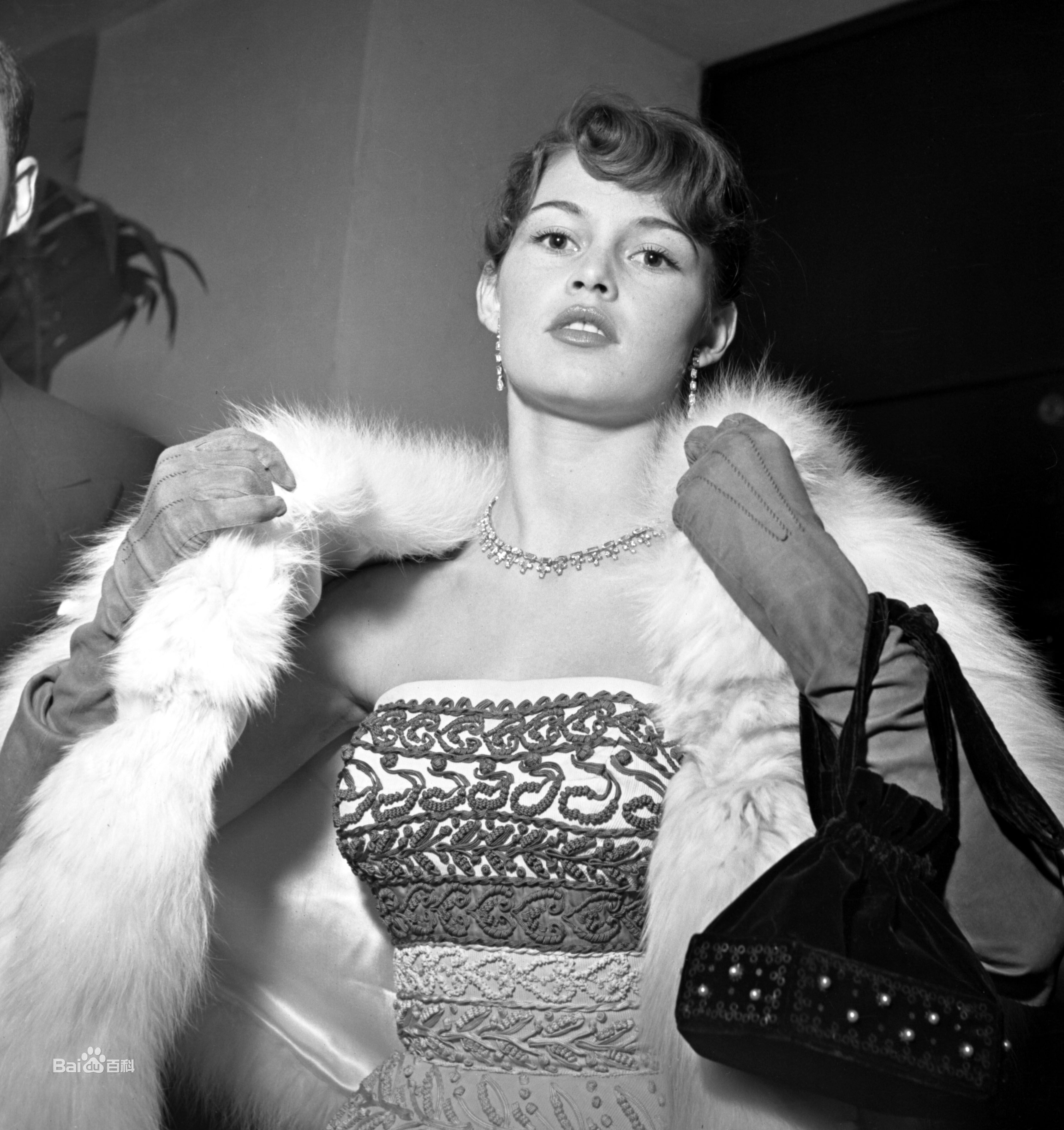 高清碧姬·芭铎(Brigitte Anne-Marie Bardot)精彩图册