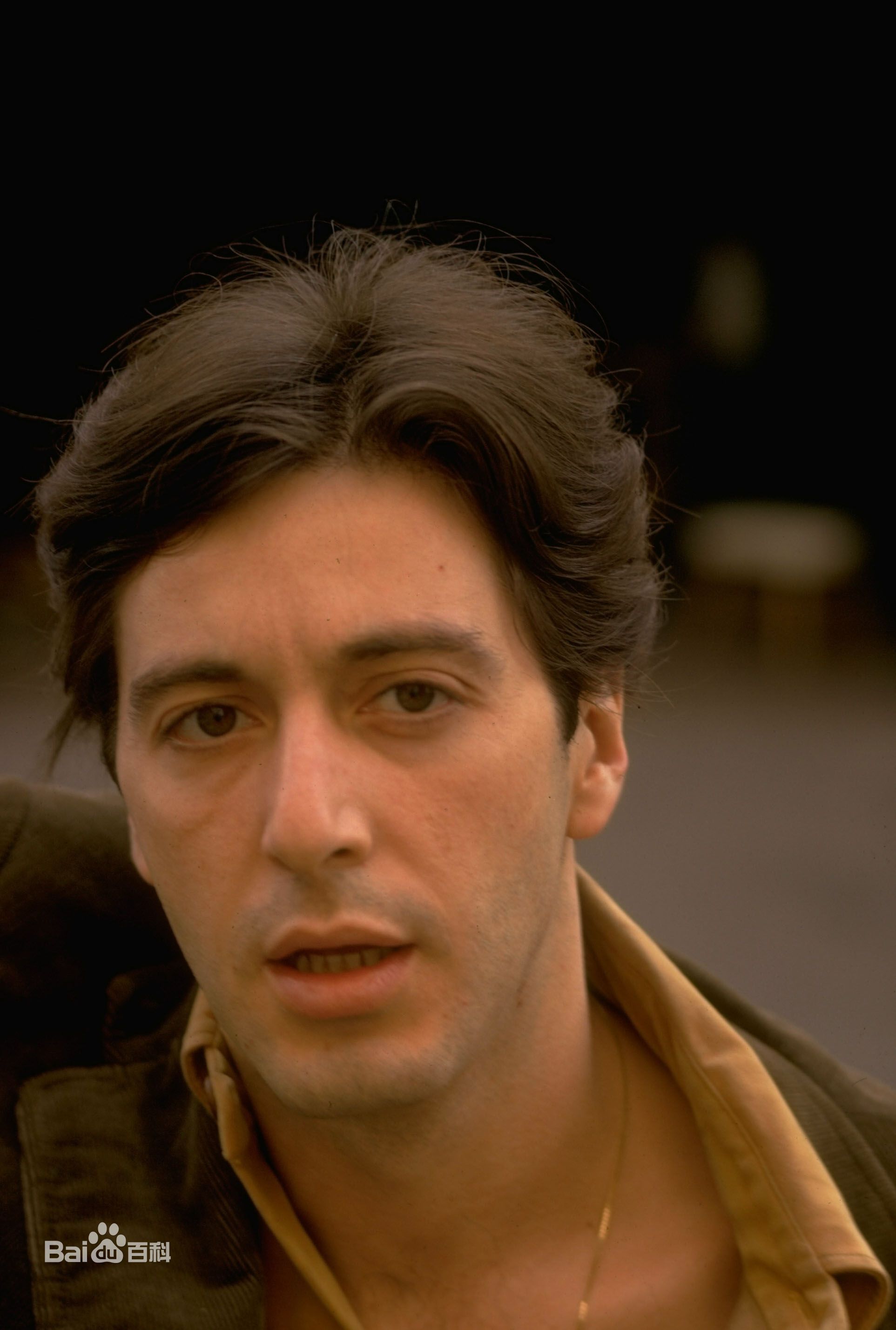 最新阿尔·帕西诺(Al Pacino)精彩图册