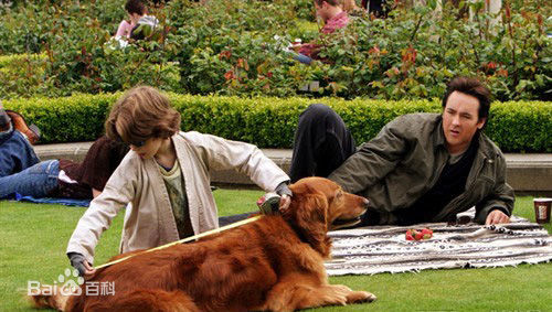 精选安吉利卡·休斯顿(Anjelica Huston)