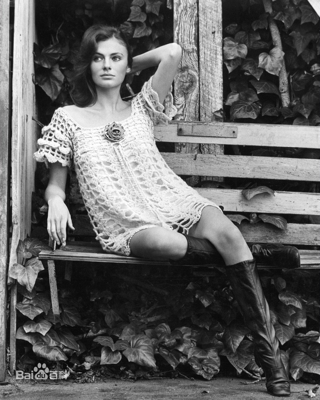 杰奎琳·比塞特(Jacqueline Bisset)前后照片