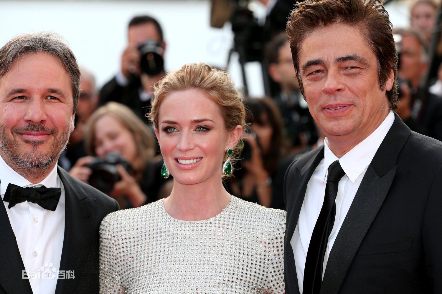 丹尼斯·维伦纽瓦(Denis Villeneuve)出席戛纳国际电影节图册