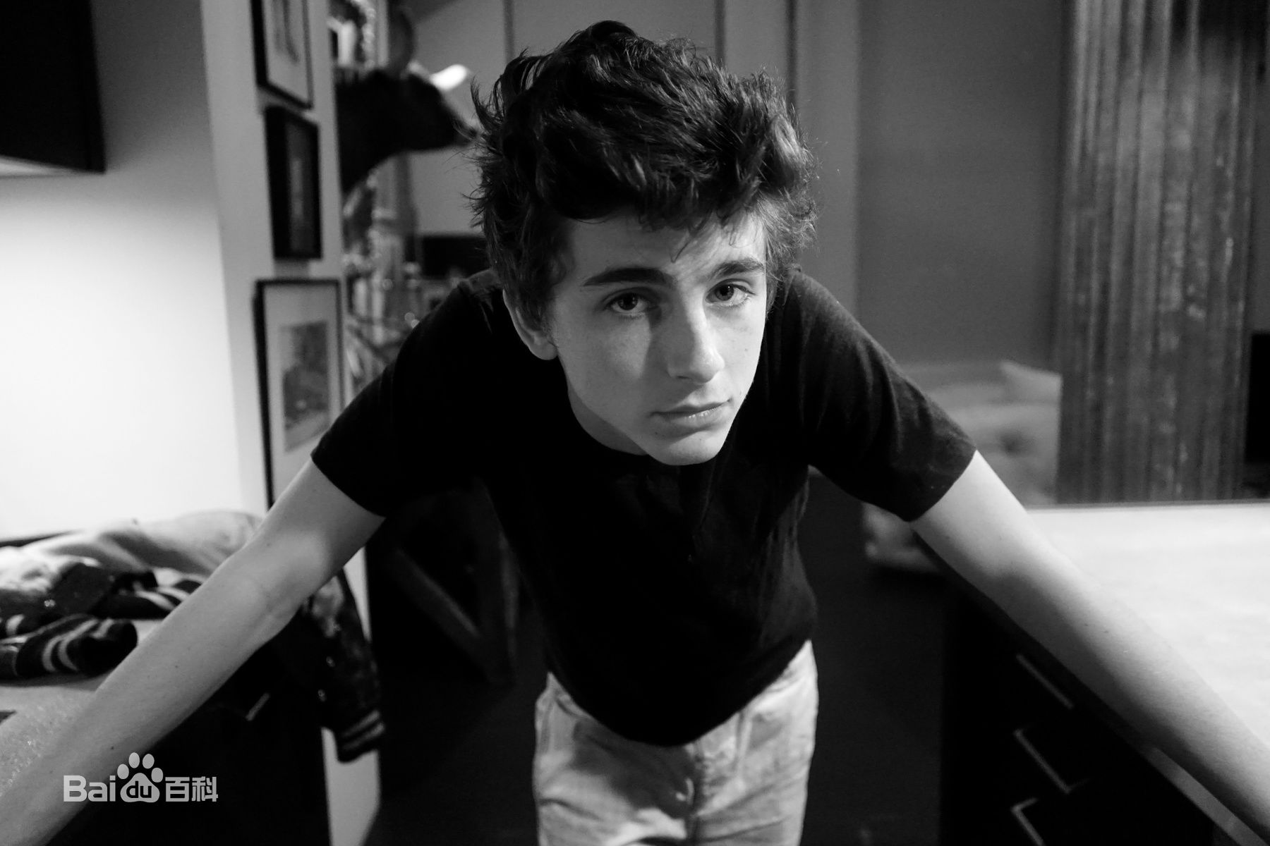 高清提莫西·查拉梅(Timothée Chalamet)性感图片