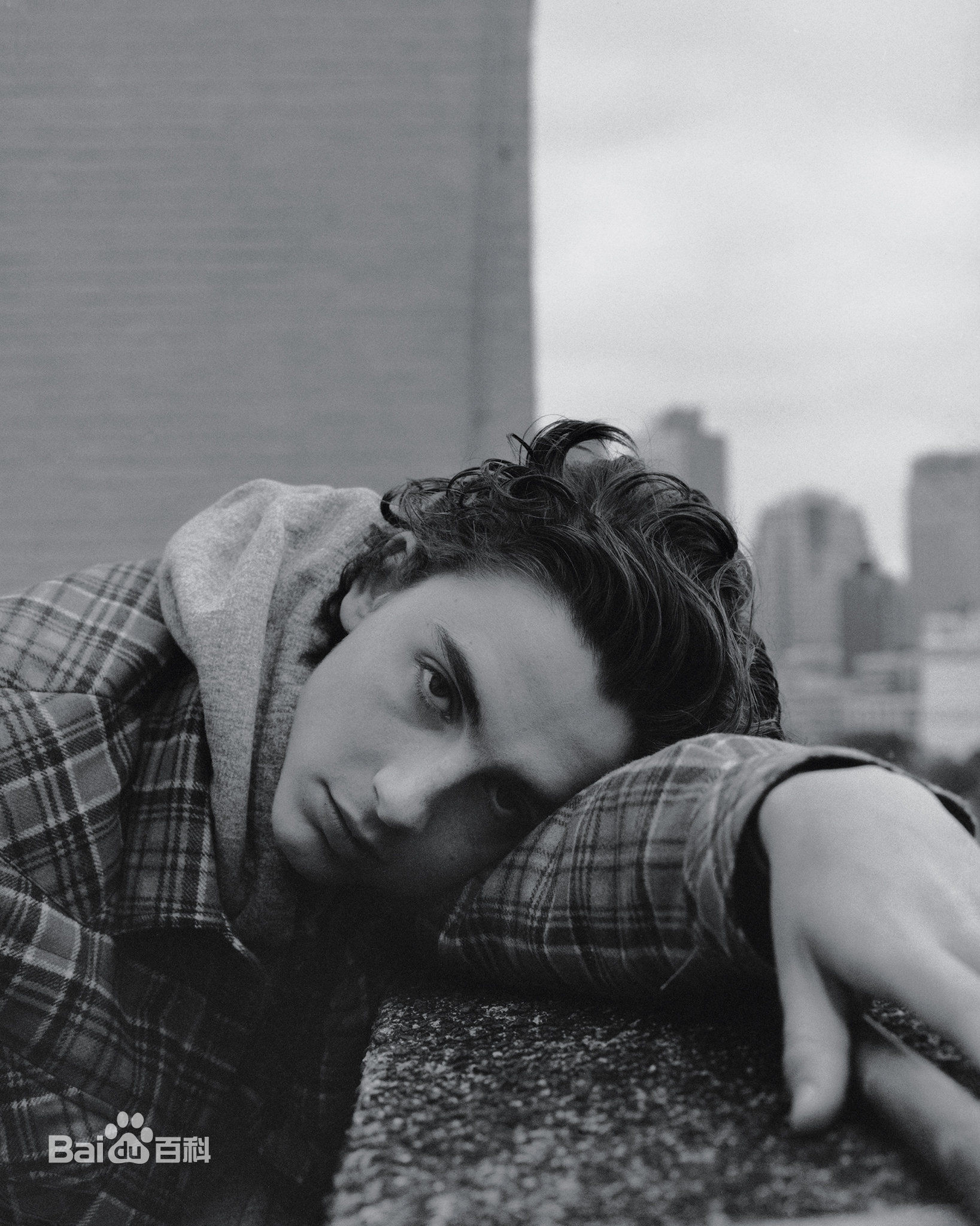 高清提莫西·查拉梅(Timothée Chalamet)性感图片