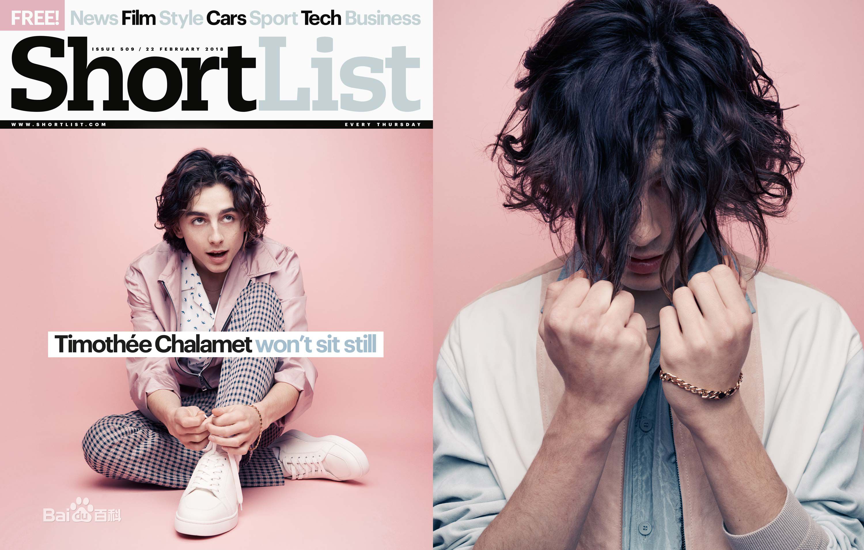 高清提莫西·查拉梅(Timothée Chalamet)性感图片