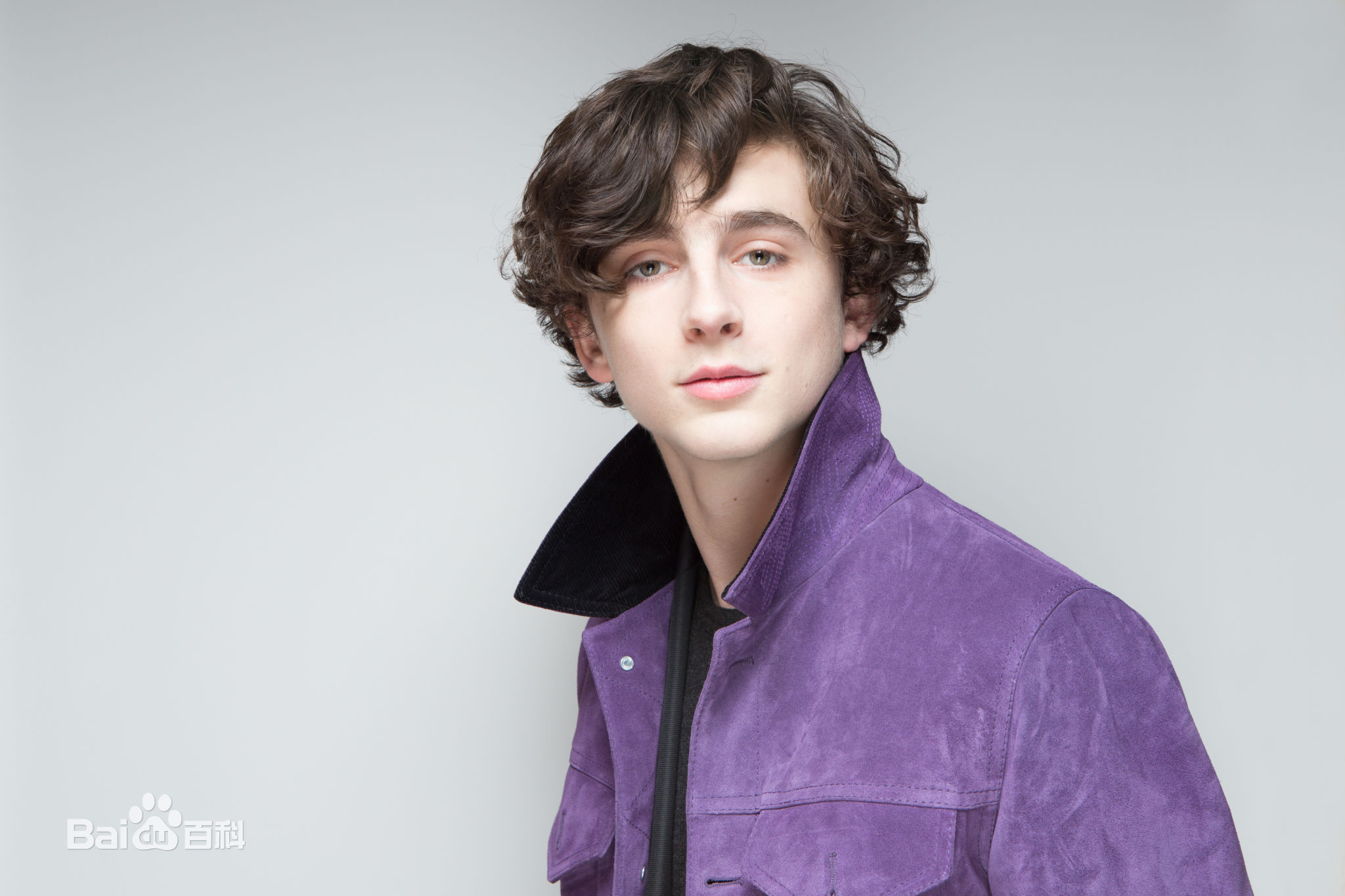 最新提莫西·查拉梅(Timothée Chalamet)壁纸
