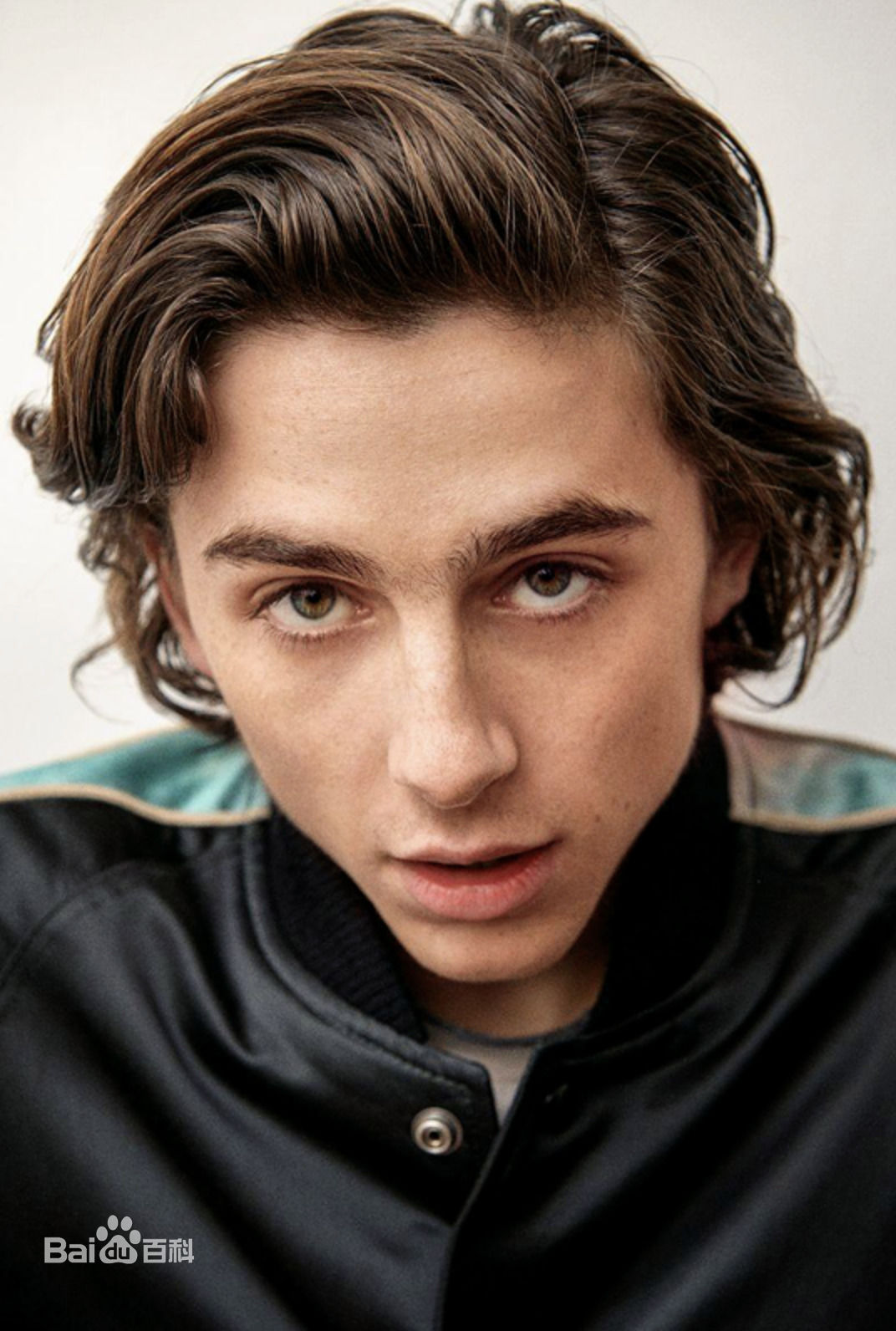 最新提莫西·查拉梅(Timothée Chalamet)壁纸