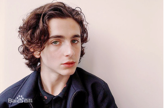 最新提莫西·查拉梅(Timothée Chalamet)壁纸