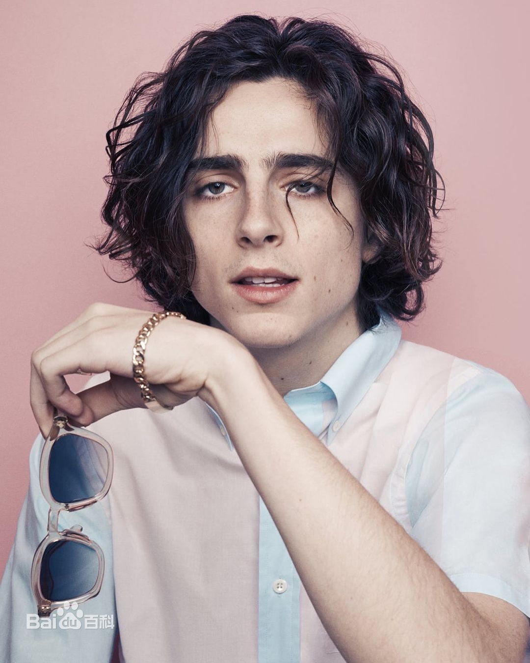 最新提莫西·查拉梅(Timothée Chalamet)壁纸