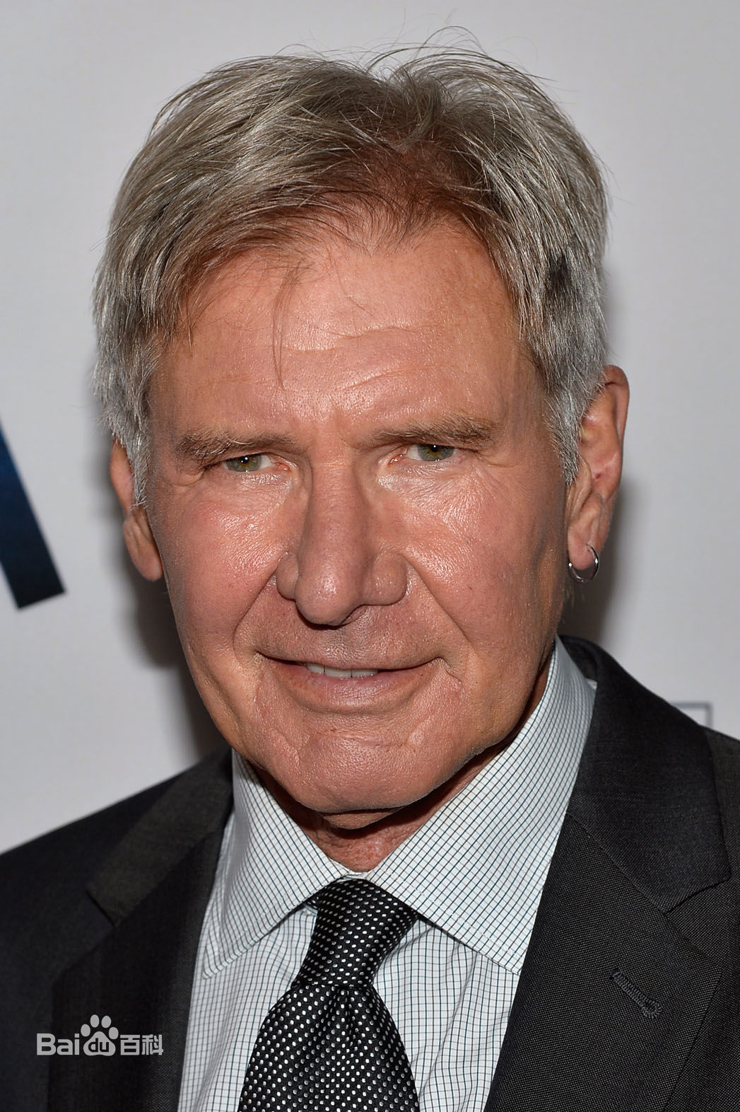 哈里森·福特(Harrison Ford)图集图册