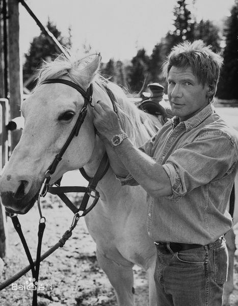 哈里森·福特(Harrison Ford)早年图集壁纸壁纸