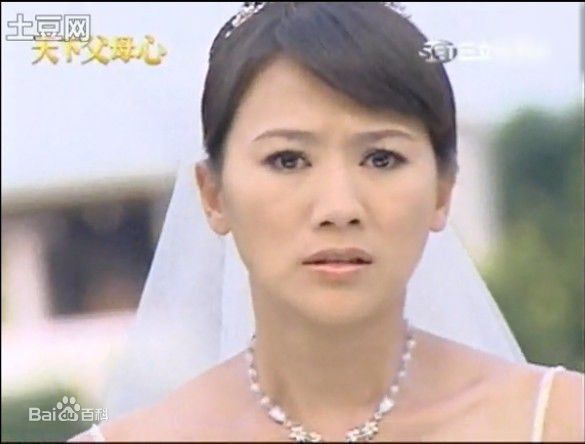 连静雯(Joanne)天下父母心（蔡有美）生活照相册