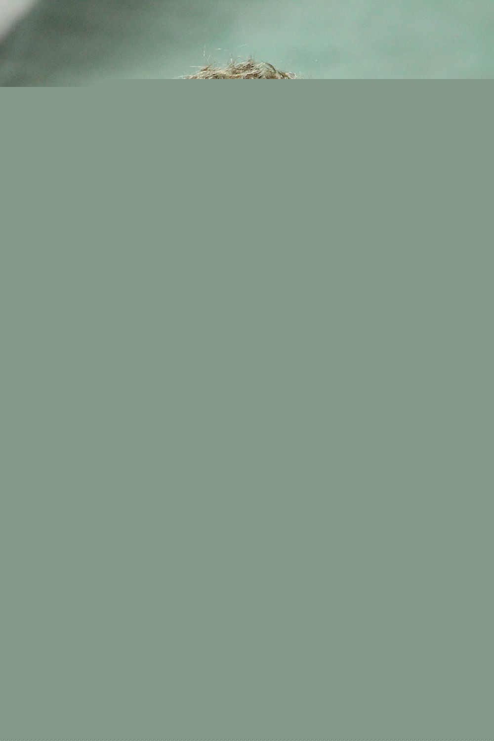 李起光(，Lee Gi Kwang)运动场上帅气的起光图册