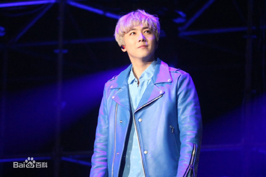 李洪基/李弘基(/Lee HongKi)演唱会图片图册