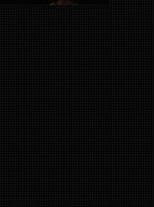 李洪基/李弘基(/Lee HongKi)图册生活照相册