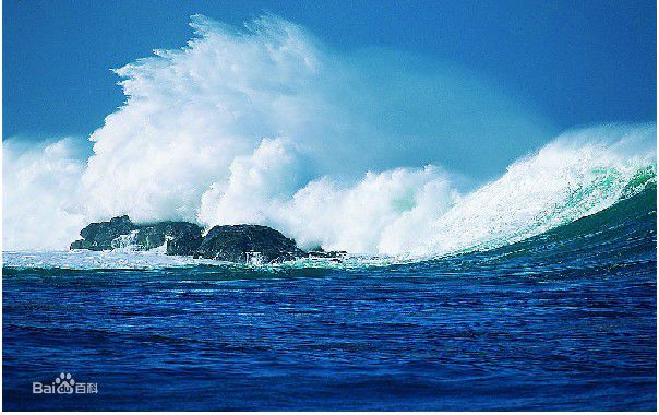 郑雄仁(/Woong-in Jeong)前后照片