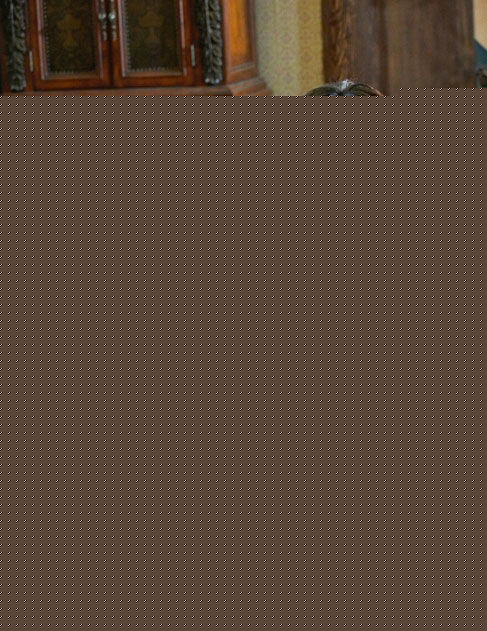 姜斗(&amp;#49569;&amp;#50857;&amp;#49885;，&amp;#44053;&amp;#46160;)活动照生活照相册